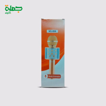 صب مايك WS858