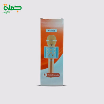 صب مايك WS858